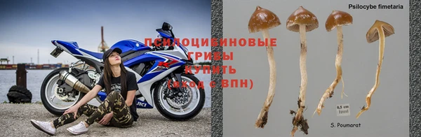 амфетамин Осташков