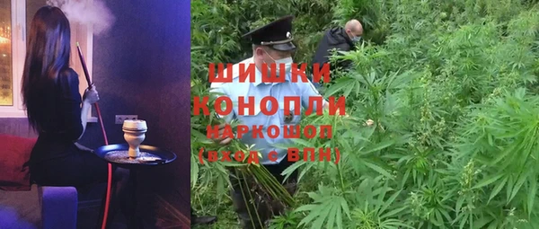 прущие крисы Каменногорск