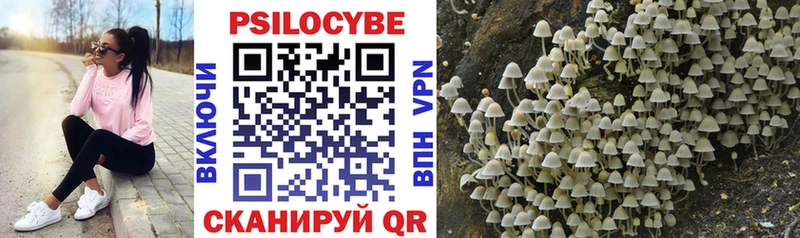 Галлюциногенные грибы Psilocybe  hydra как зайти  Сосенский 
